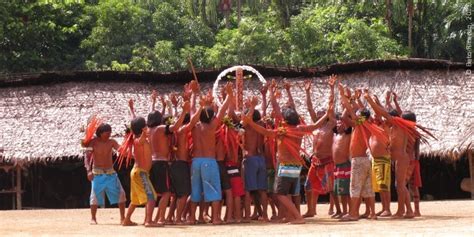 Tupi-Guarani İttifakı: 7. Yüzyıl Brezilya'sında Şamanizm ve Tarımın Birleşimiyle Güçlenen Yeni Bir Siyasi Düzen