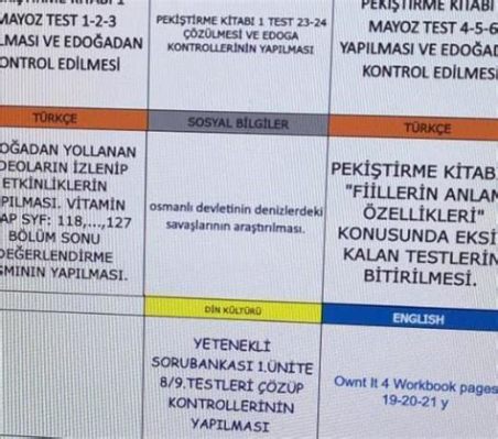 Satavahana İmparatorluğu'nun Yükselişi: Hindistan'da 3. Yüzyılda Kral Değerleri ve Şehri Güvence Altına Alan Yeni Bir Sistemin Doğuşu